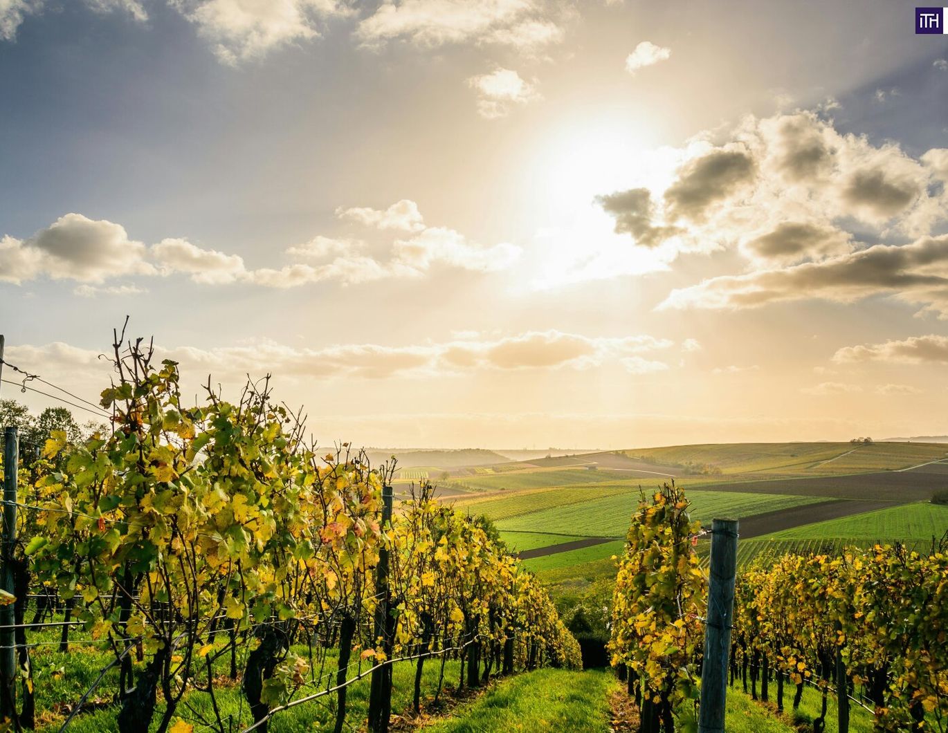 Exklusiv! Besondere Anwesen in der wunderschönen Südsteiermark - Ihr Rückzugsort mit Charme, Komfort und einen unvergleichbarem Flair!
