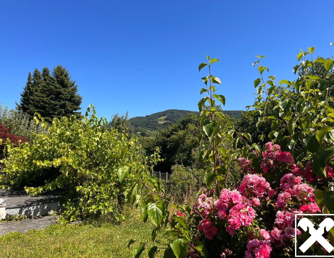 Exklusive Lage mit Dambergpanorama