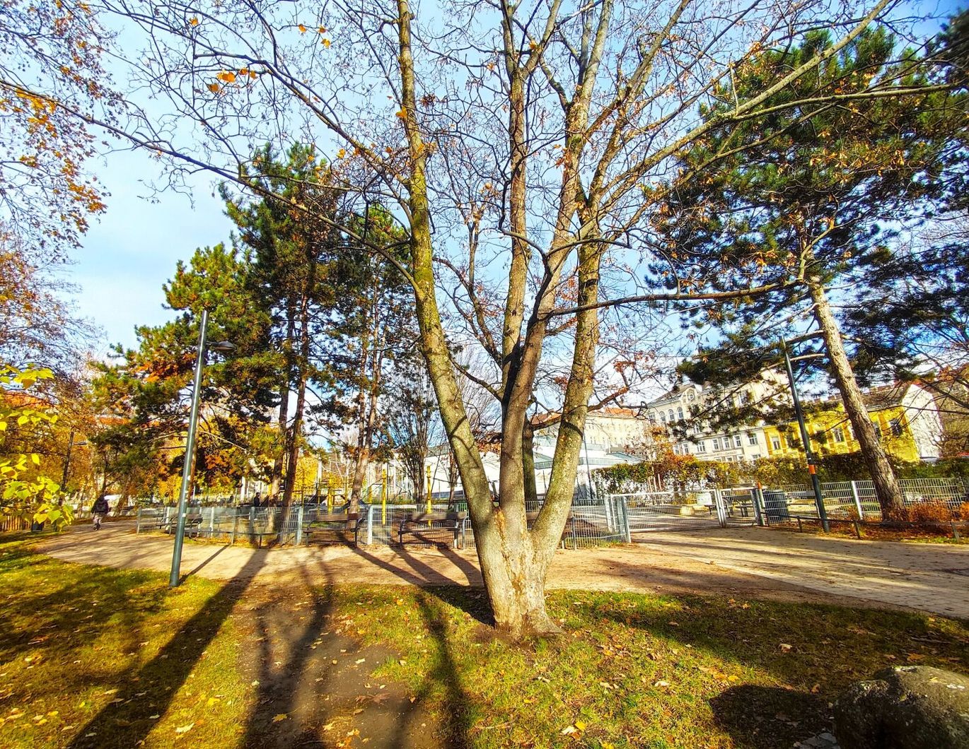 RUHIGE LAGE - Altbau Nähe Matznerpark