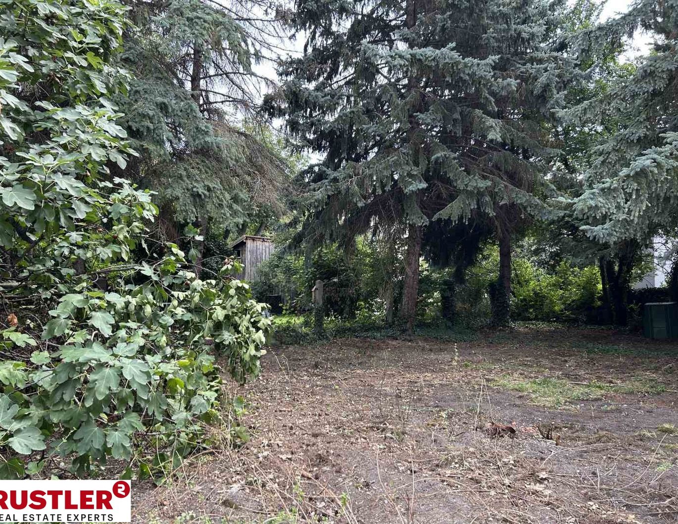 Einfamilienhaus mit großem Garten