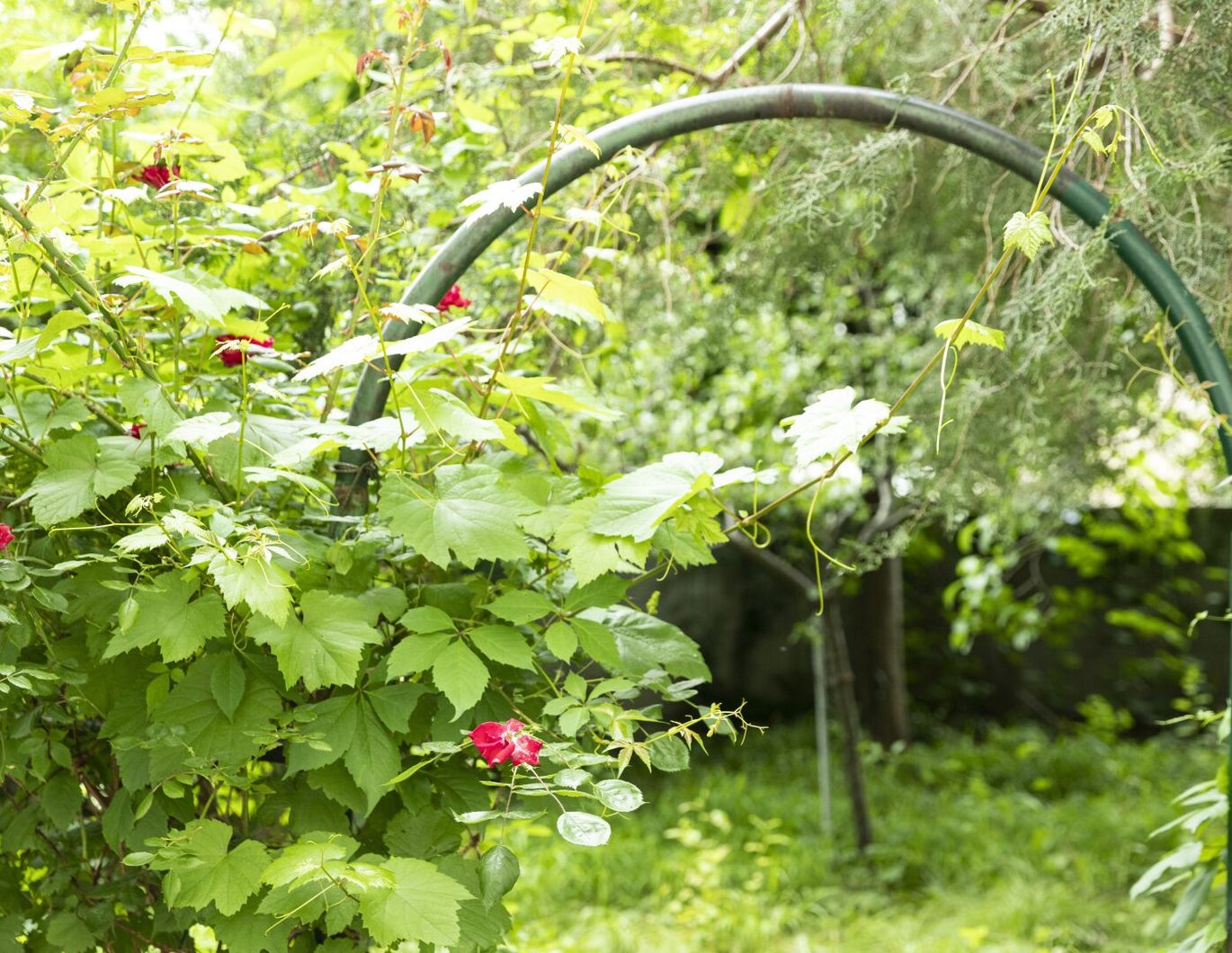 Sanierer aufgepasst! - Familienwohnung mit Gartentraum nahe Alte Donau
