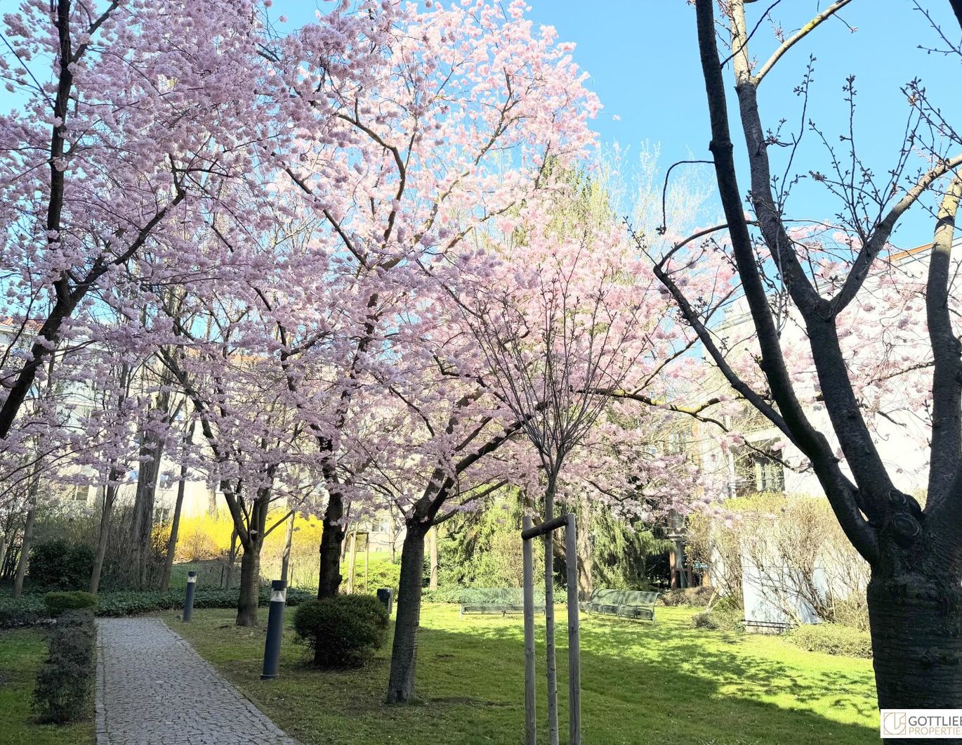 Grünruhelage nahe Glanzing! Perfekt geschnittene Dachterrassen-Studio-Wohnung mit optionalem Garagenplatz