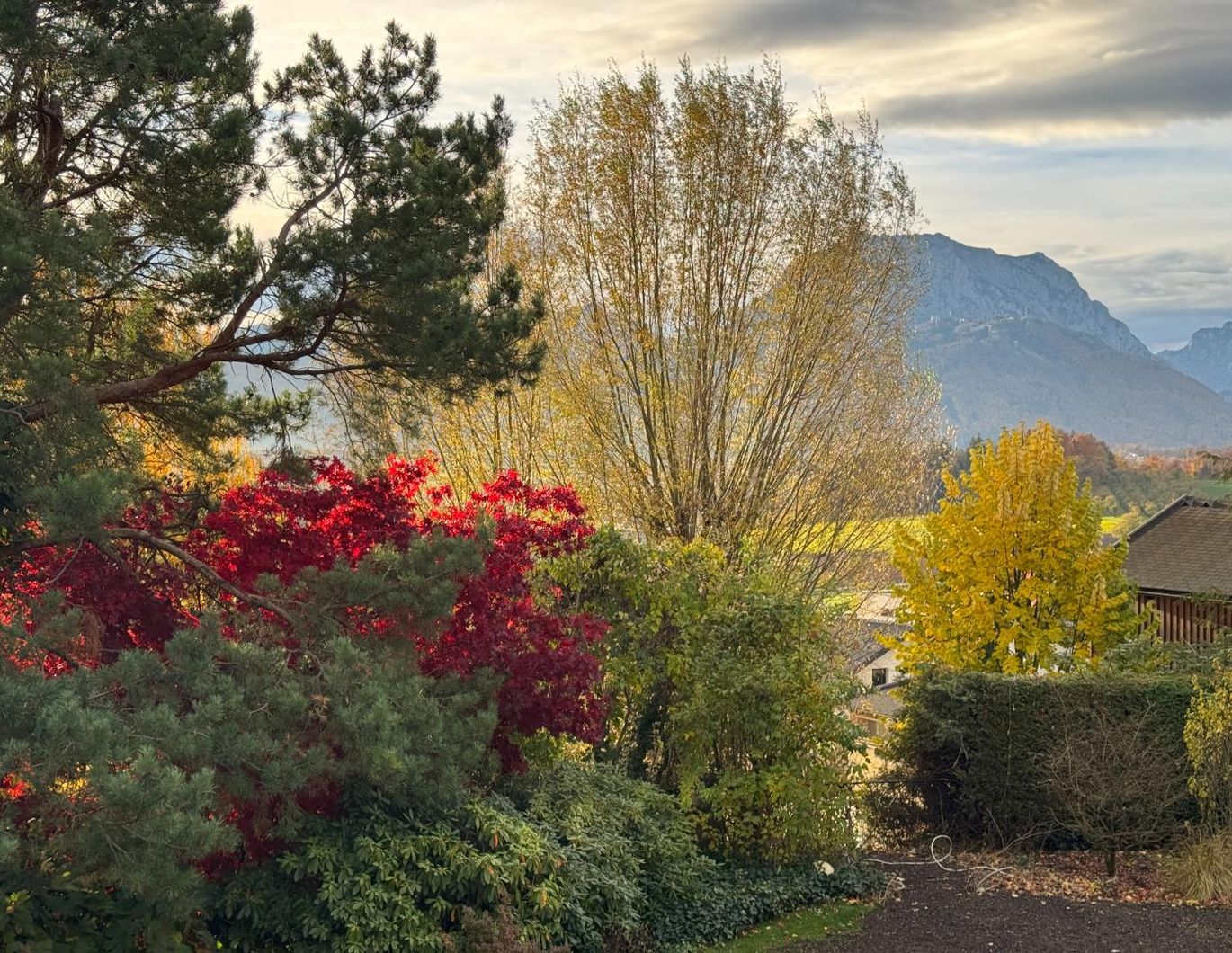 Wohnen und Arbeiten mit Weitblick!