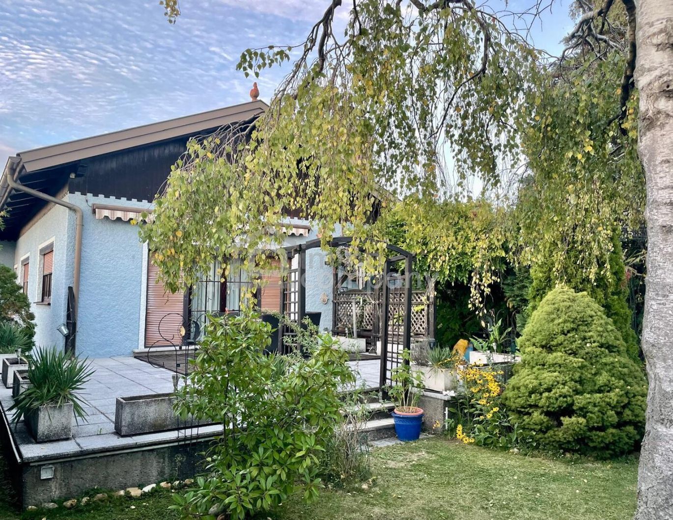 Wohlfühlhaus in Petronell-Carnuntum: 4 Zimmer, Garten, Terrasse - Ihr Traum für 387.000 €!