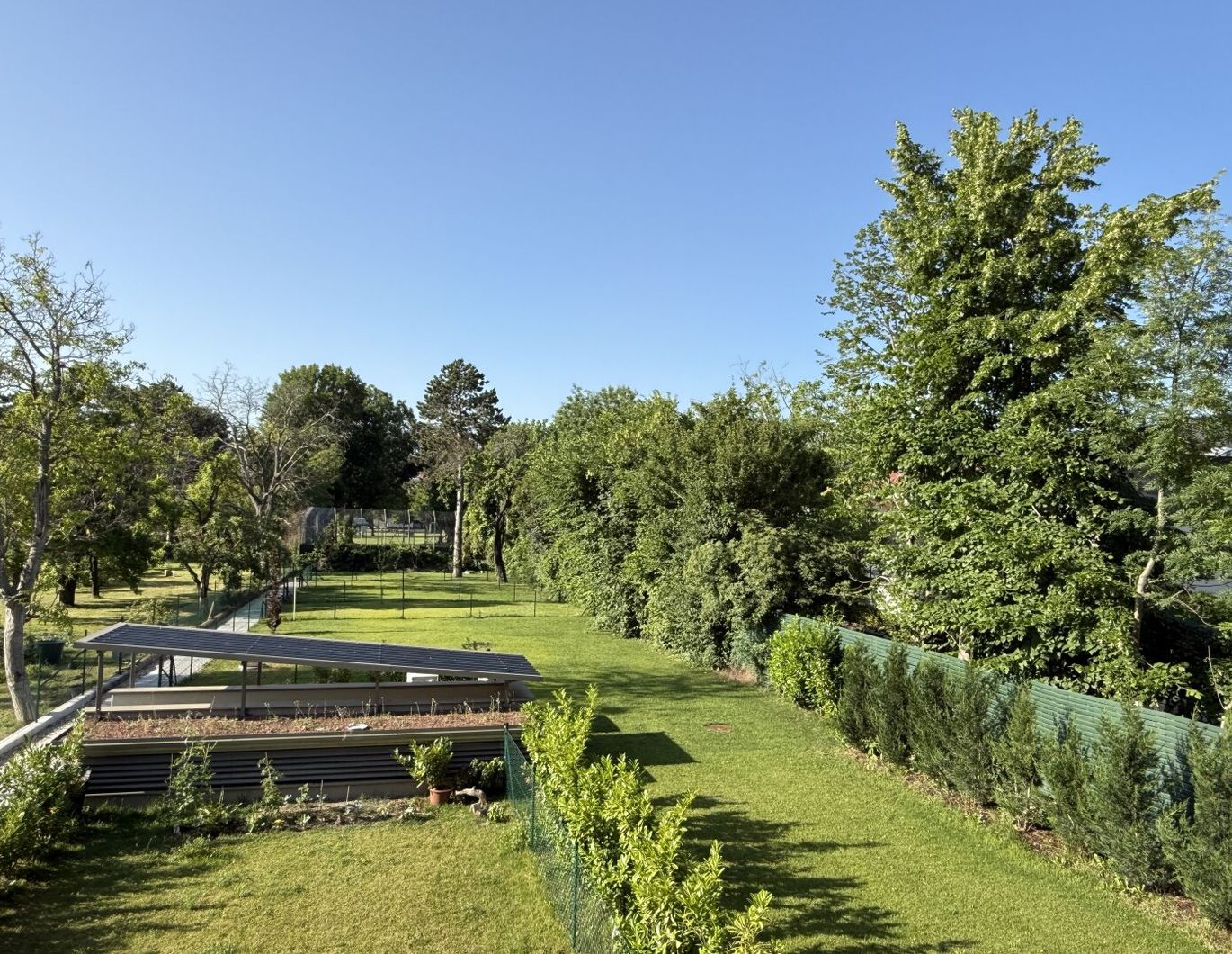 Mitten in Mödling - Grünblick zum Verlieben