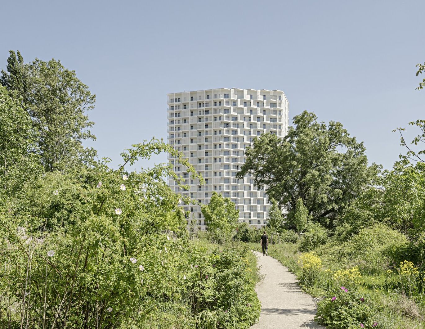 ### RIESENRAD, STEPHANSDOM UND KAHLENBERGBLICK! ###