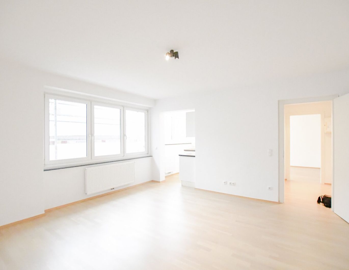 Ruhelage: Schöne 2-Zimmer-Wohnung mit separater Küche nahe Belvedere