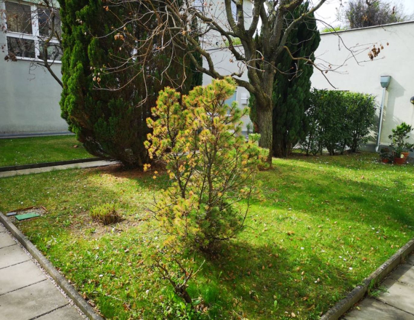 Stille Innenhofwohnung mit grüner Aussicht