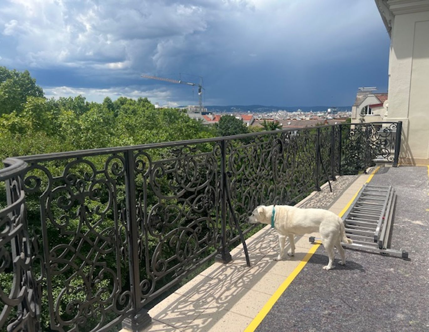 Sanierung nach Wunsch - Draschepark, Johann Straussgasse, Bahnhof - Wien, Wien