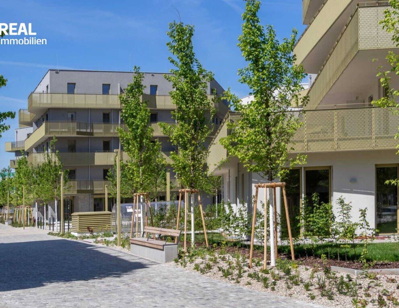 Hirschfeld - Ihr neues Zuhause im Grünen - anfragen, besichtigen, einziehen - 41 bis 96 m²