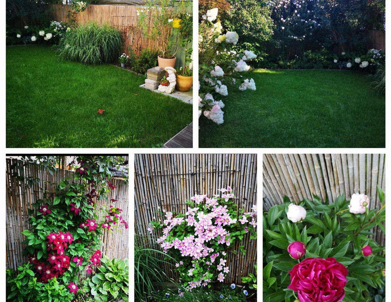 Maisonnette mit Garten