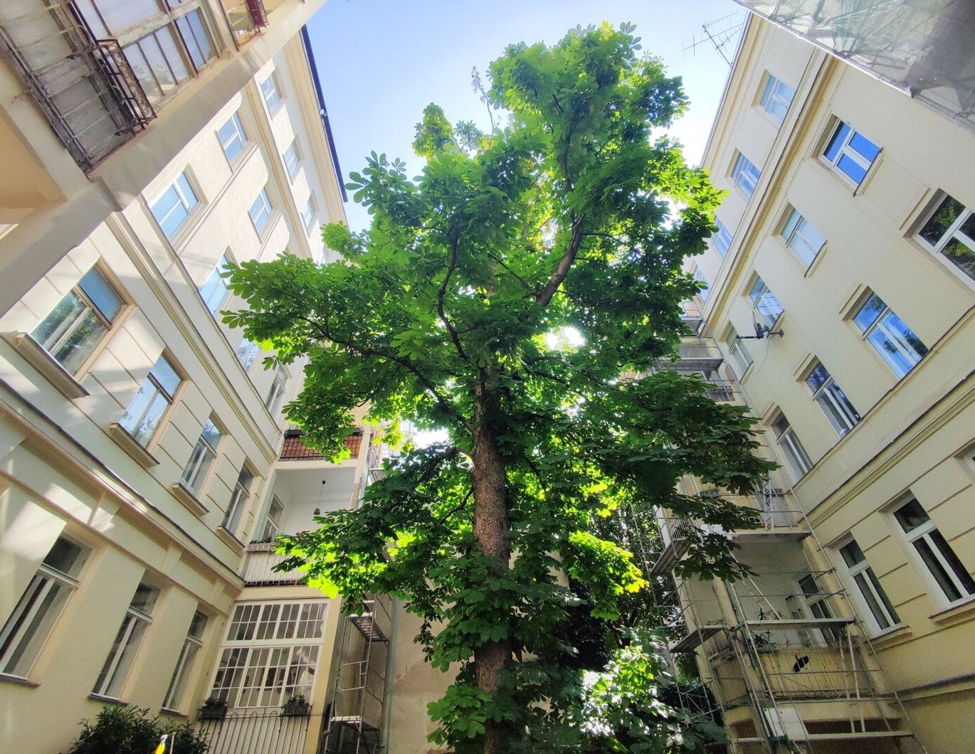 BLICK INS GRÜNE - Sanierungsbedürftiger Altbau in Hofruhelege!