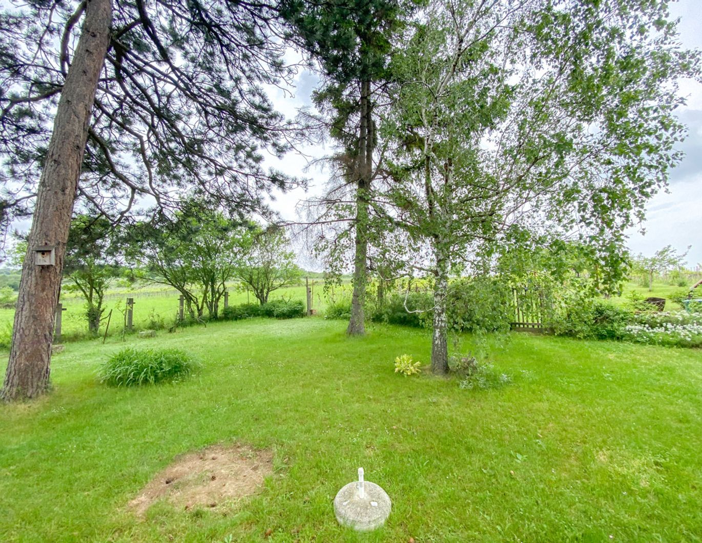 Romantisches Winzerhaus mit Wienblick und Weingarten