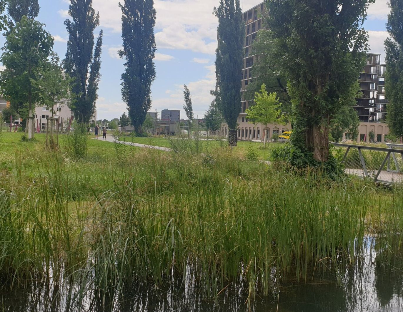 Komfortable 2 - Zimmerwohnung im Reininghaus Park