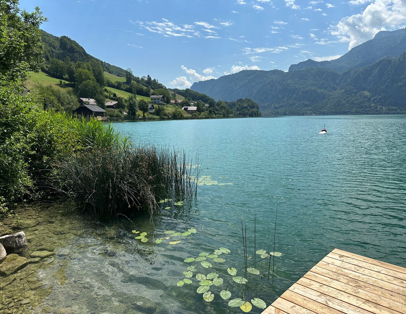 Ihre Traumwohnung im Naturparadies| südseitiger Garten mit großer Terrasse | bezugsbereit!
