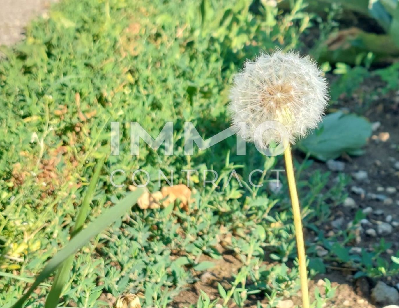 Sonnige 2-Zimmer Gartenwohnung in ruhiger Lage ideal für Anleger - Erstbezug / provisionsfrei!
