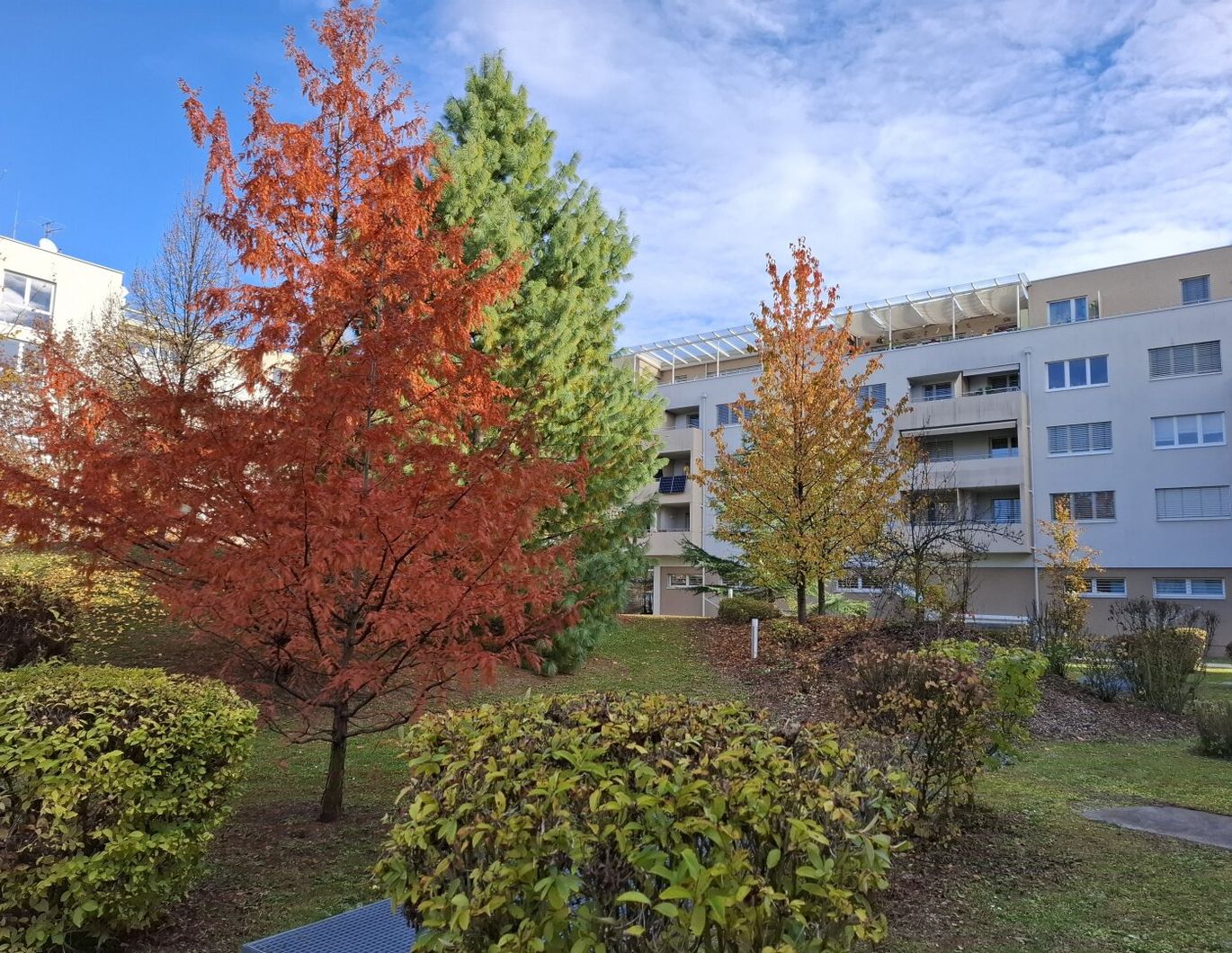 2-Zimmer-Ruheoase mitten in Waidmannsdorf!