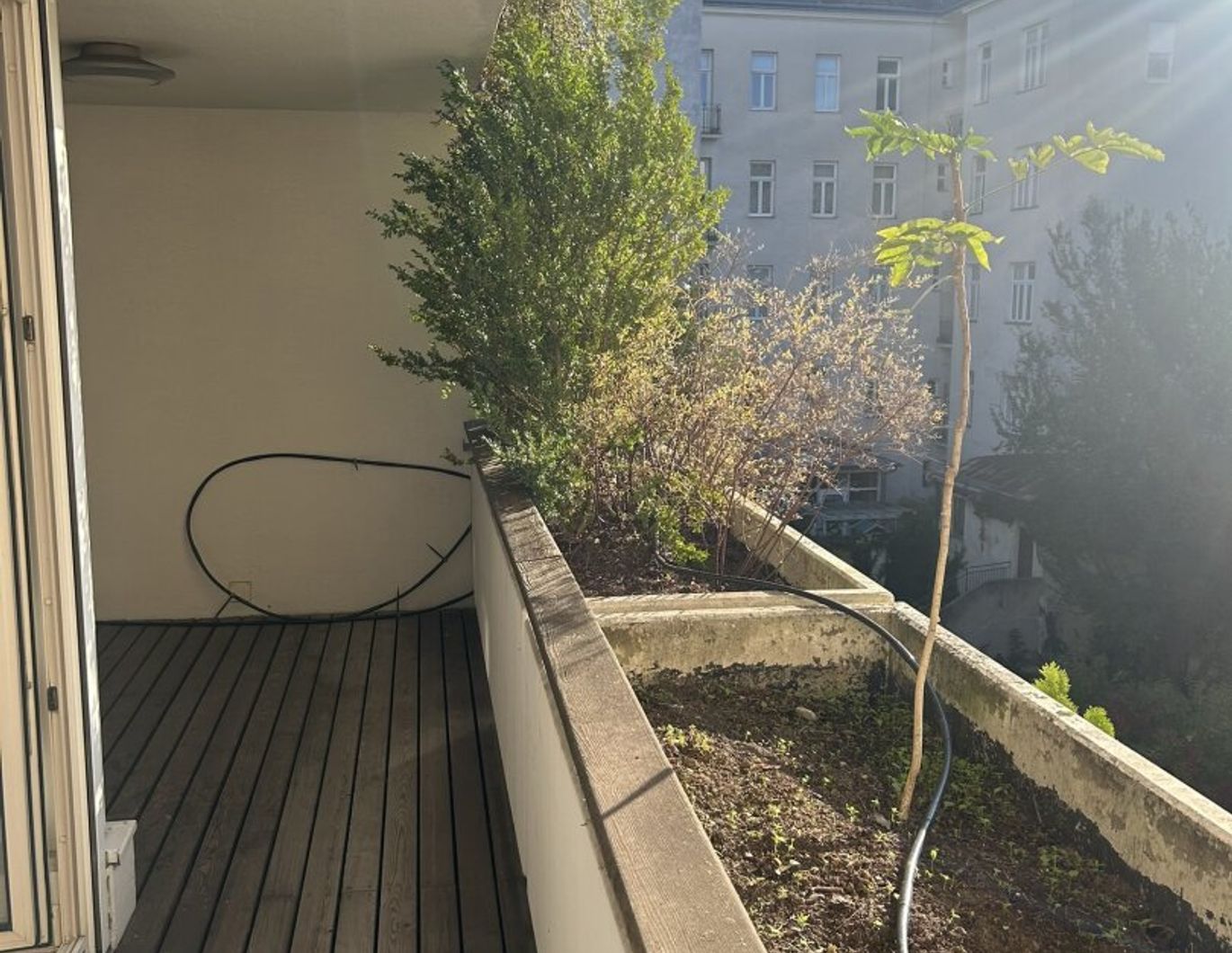 Absolut ruhige Stadtwohnung mit Loggia ins Grüne - inkl Heizkosten