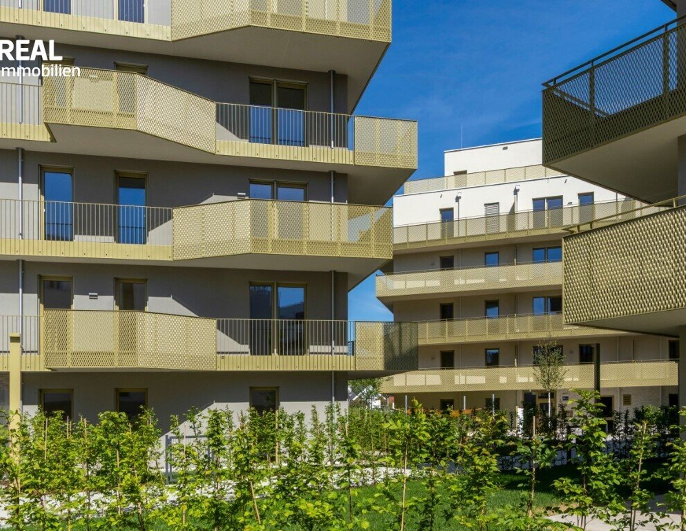 Hirschfeld - Ihr neues Zuhause im Grünen - besichtigen und einziehen