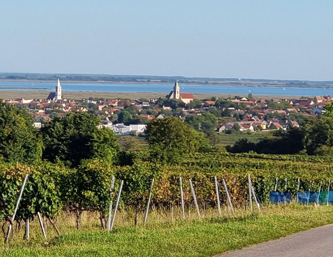 Großzügige Familienwohnung in der Storchenstadt Rust am See
