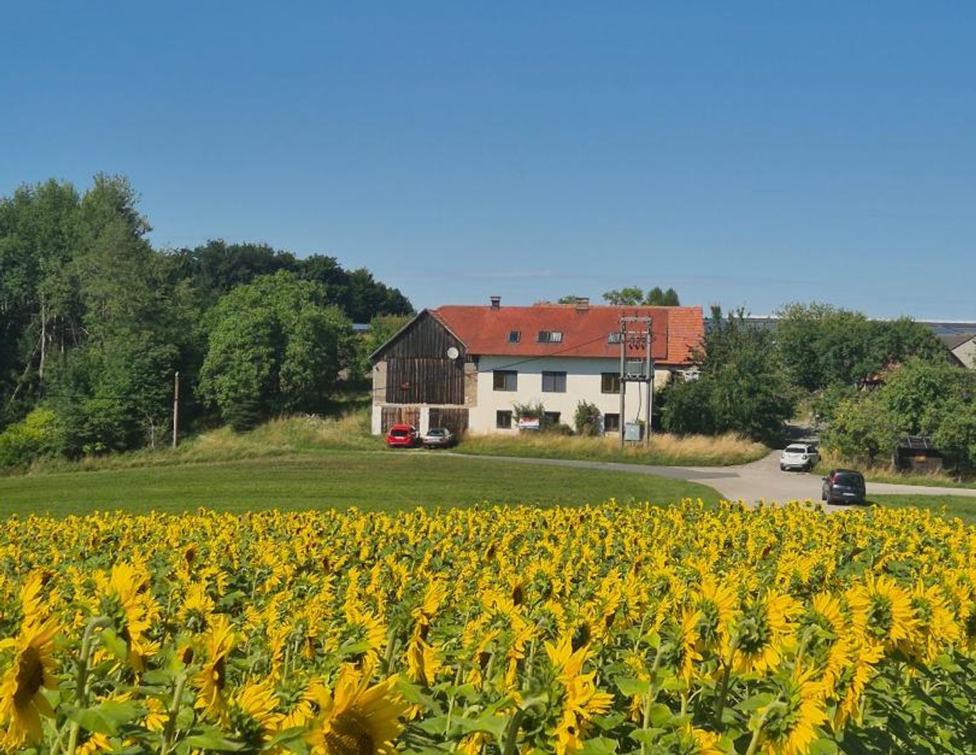 Ein- oder Mehrfamilienhaus samt Nebengebäuden im Bauland-Betriebsgebiet