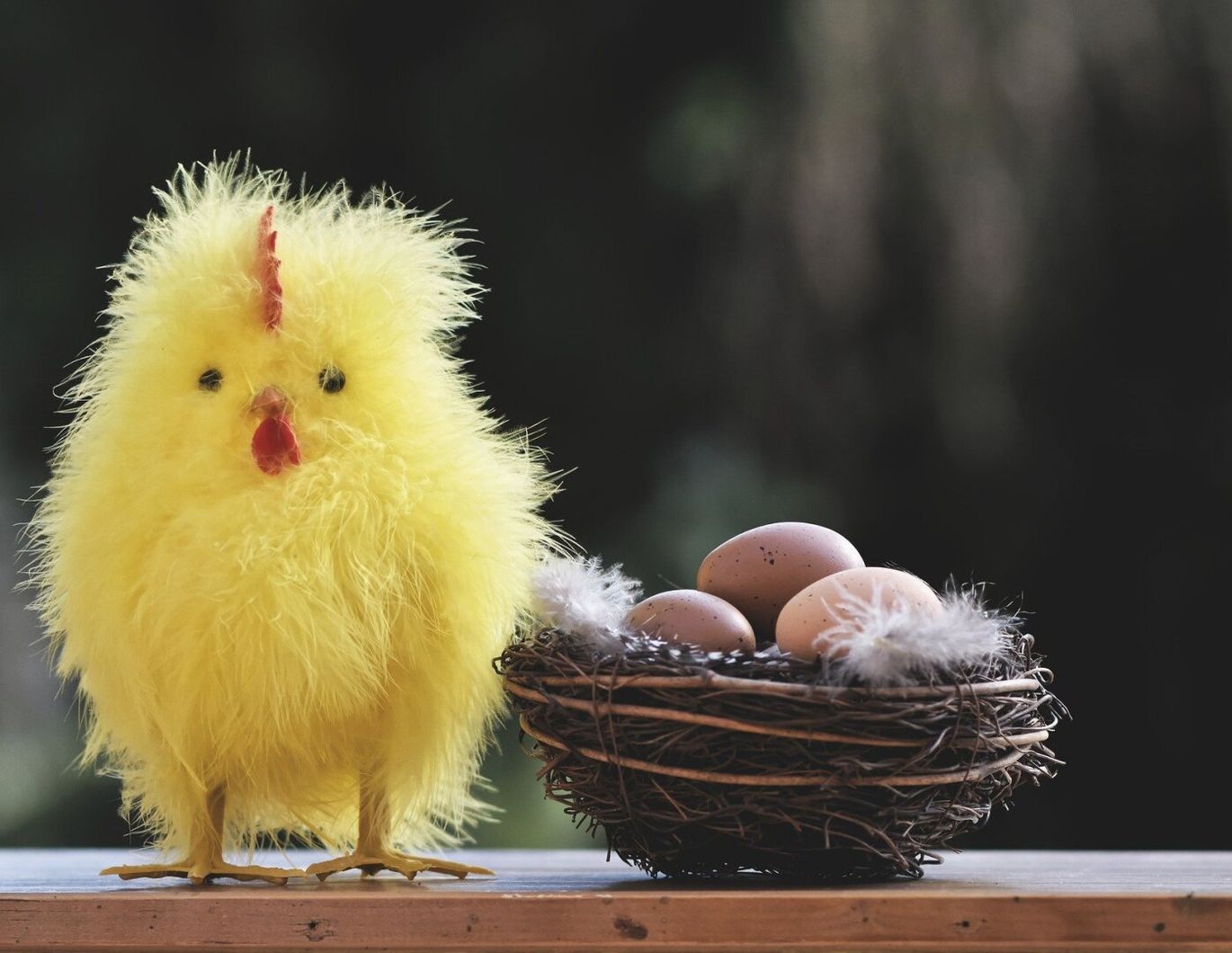 Das erste eigene Nest? 2 Zimmer Wohnung mit Südbalkon