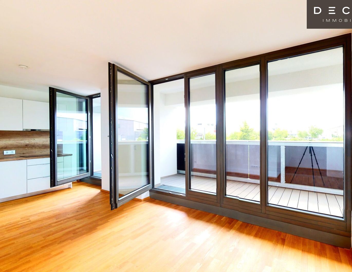 ANLEGERWOHNUNG - GARCONNIERE MIT GROSSER LOGGIA - WIENER NEUSTADT