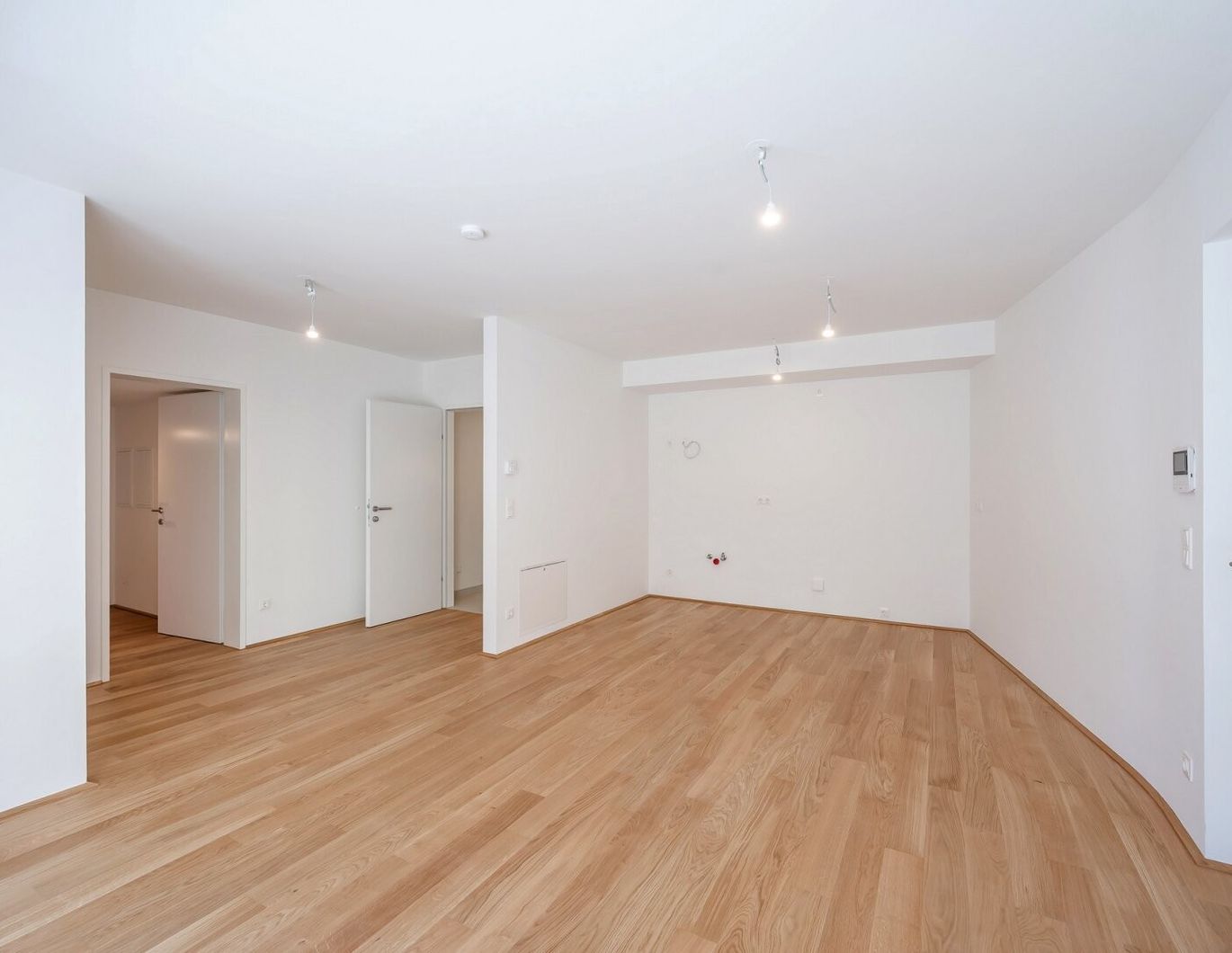 Wohnen und arbeiten im charmanten Atelier