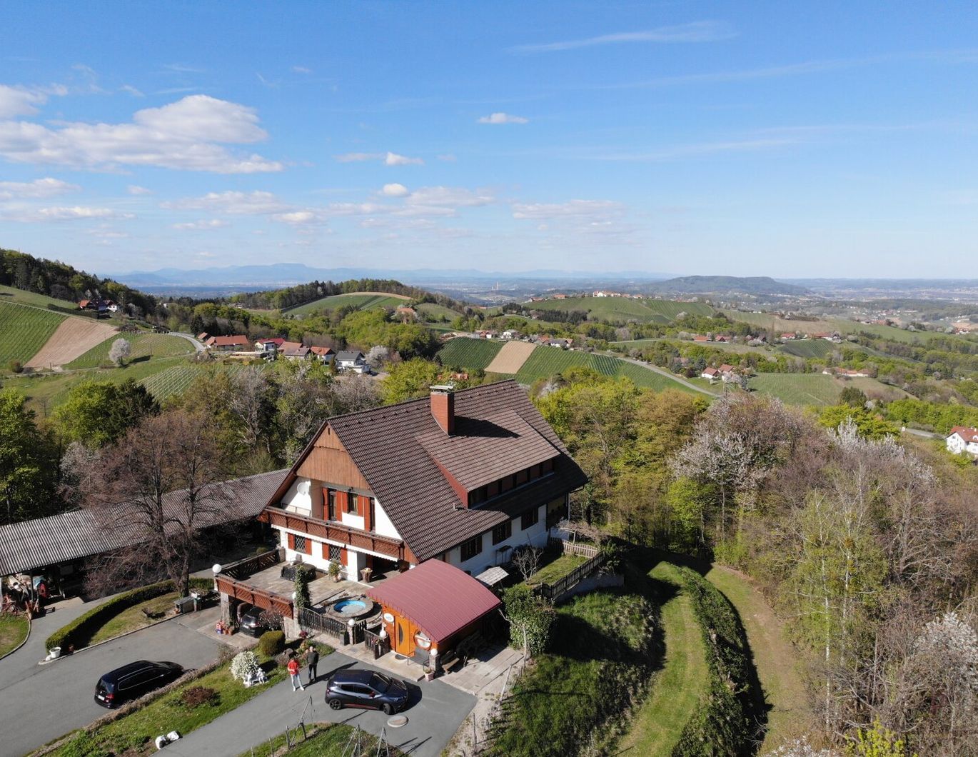 * Landwirtschaftliches Anwesen mit Weingarten und Waldfläche am Demmerkogel *