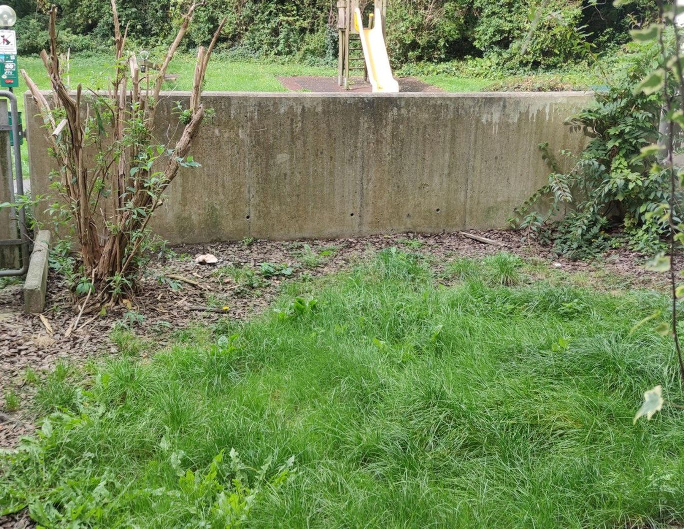 Ruhige 2-Zimmer Wohnung mit Garten, Kellerabteil & Parkplatz