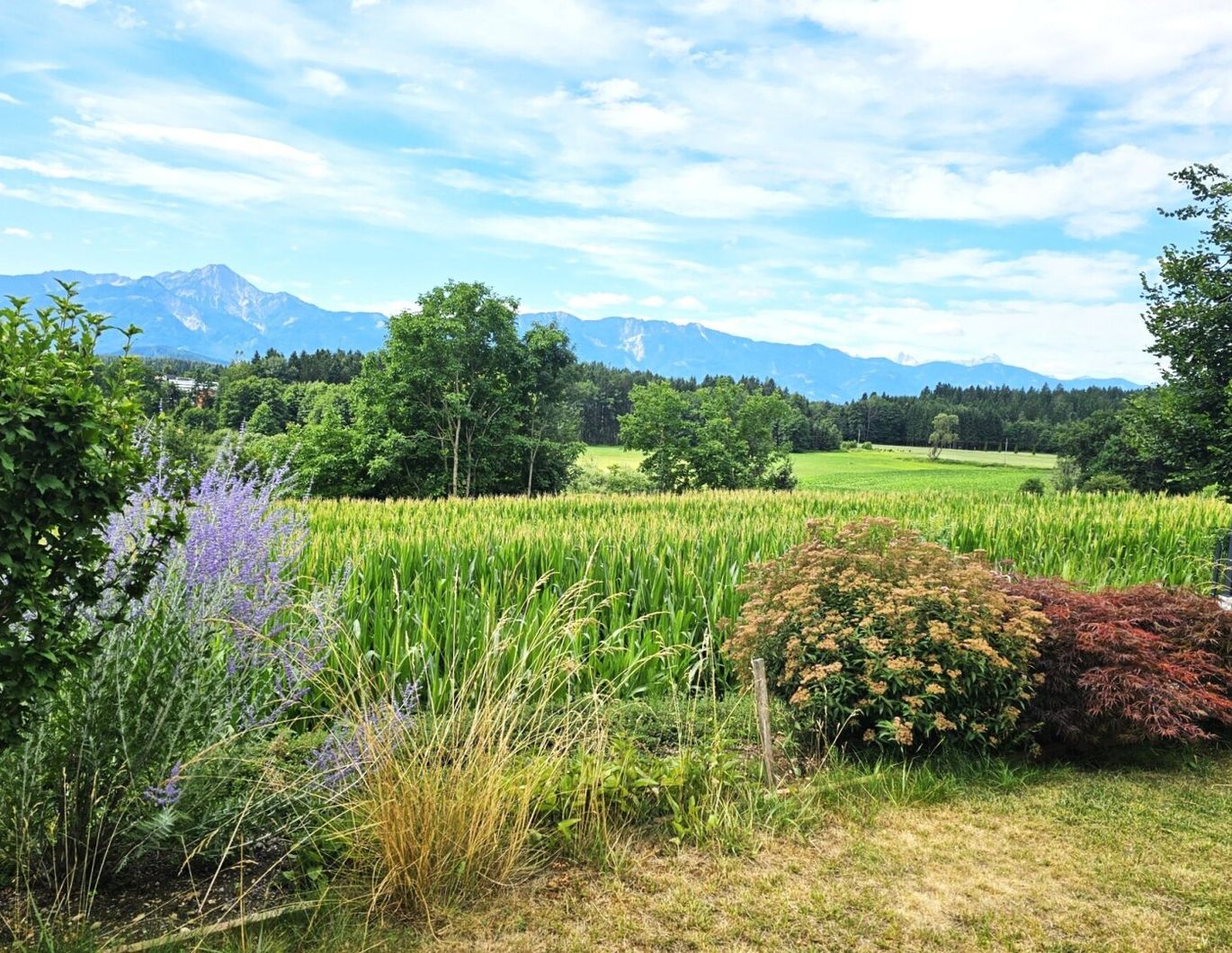 FAMILIENHAUS in Wernberg - Weitblick - traumhafter Karawankenblick