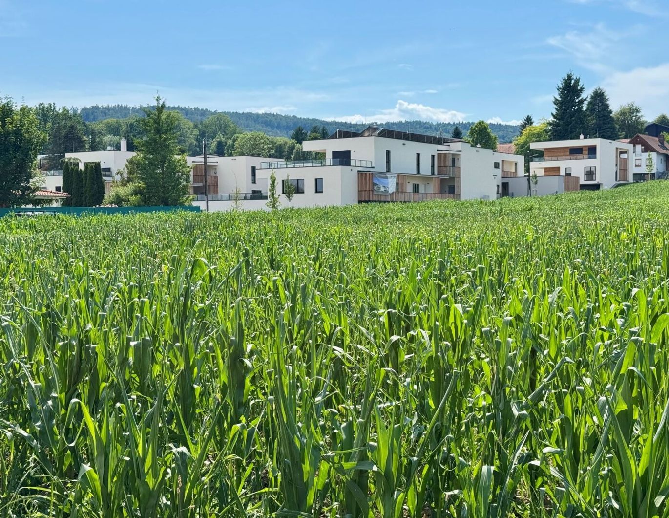 Entspannte Wohnatmosphäre: 2-Zimmer-Oase im Neubauprojekt Am Kehlberg