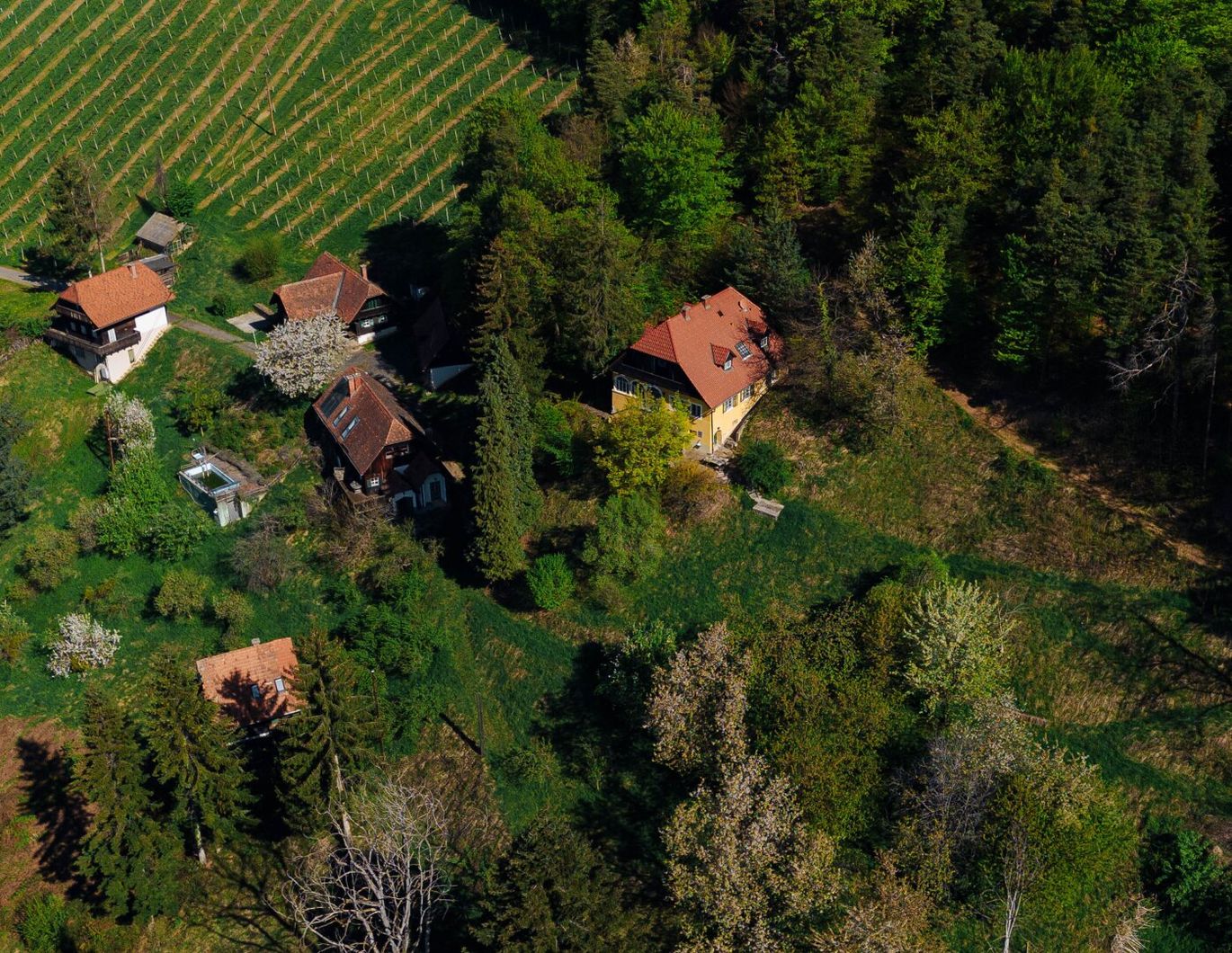 Außergewöhnliche Liegenschaft im Weinparadies - Ihre Visionen werden Realität!