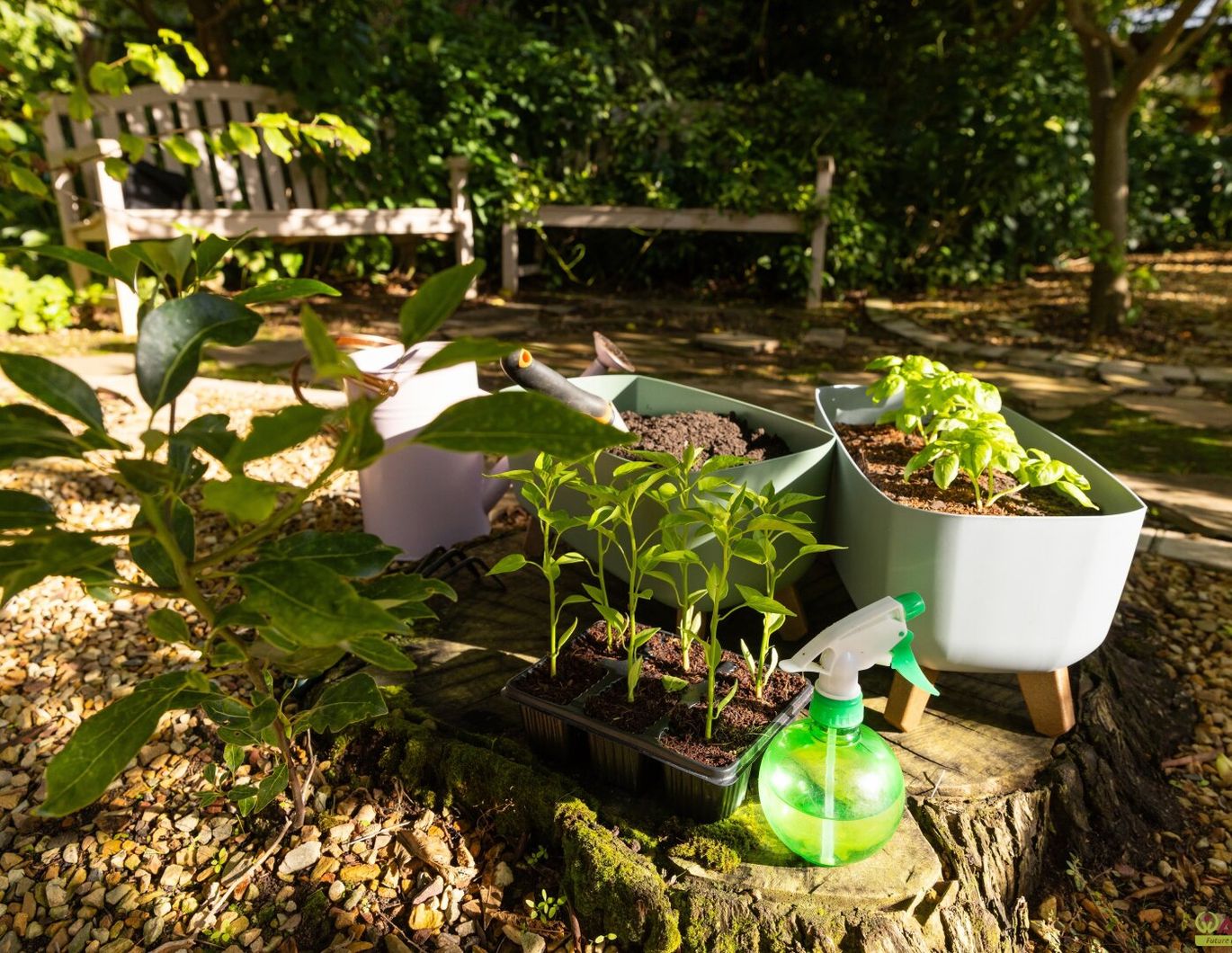 Kleingarten zur Pacht. - Neue Gartenanlage in Planung: Jetzt vormerken lassen!