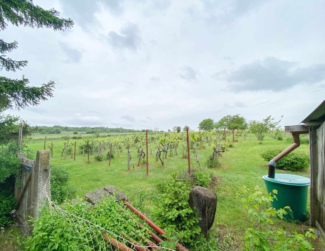Romantisches Winzerhaus mit Wienblick und Weingarten