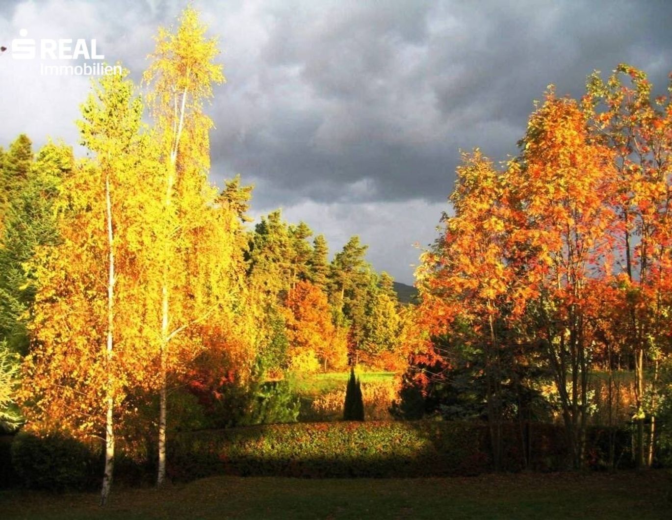 Traumhafte Waldrandlage auf zwei Bauparzellen - 2.922m² Grund, top saniertes Wochenendhaus und eigener Waldanteil!