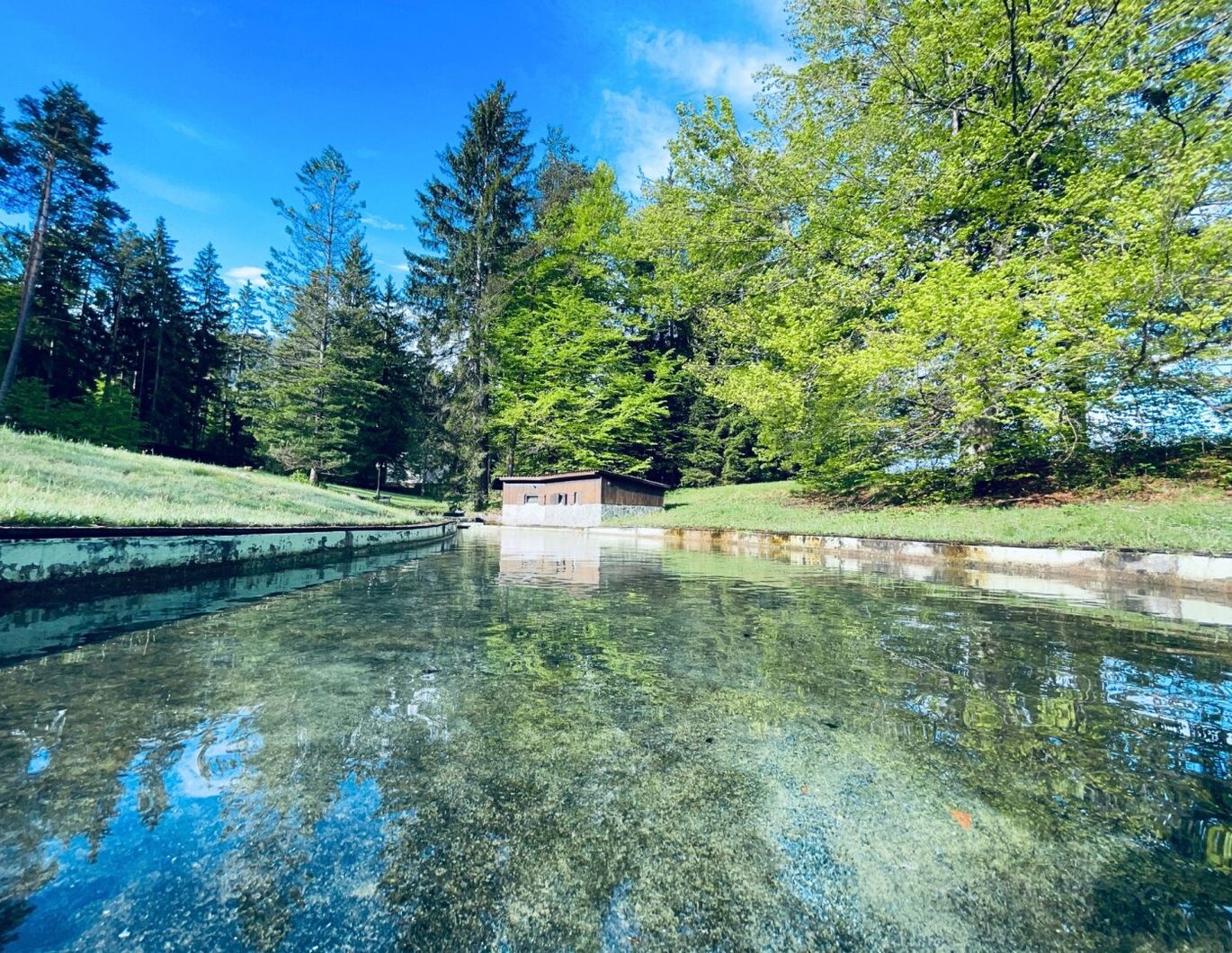 Wo Träume Wurzeln schlagen - Traumhaftes Anwesen zwischen See & Berg auf 3,45 Hektar!