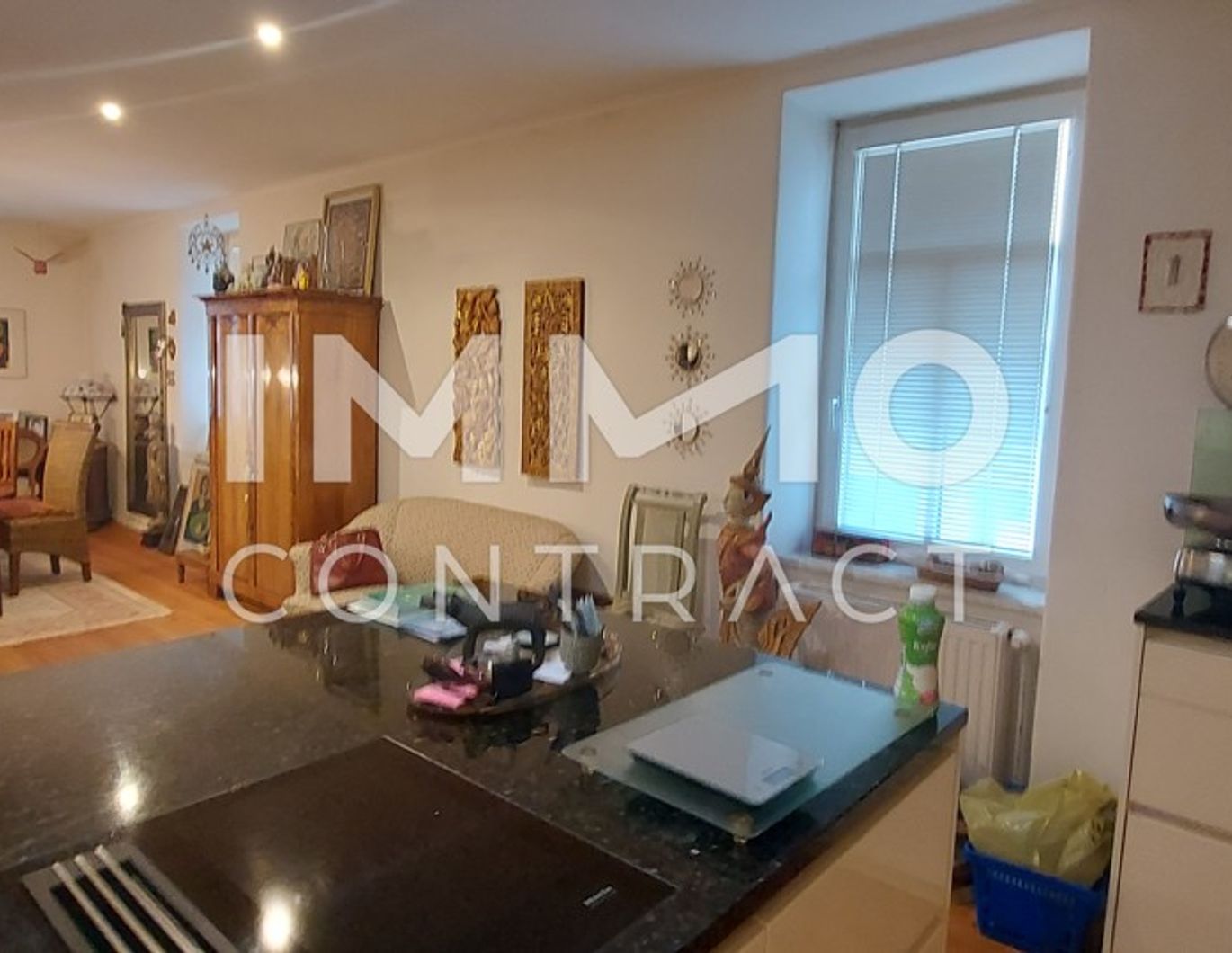 WOHNHAUS MIT ARZTPRAXIS HORN NÄHE!