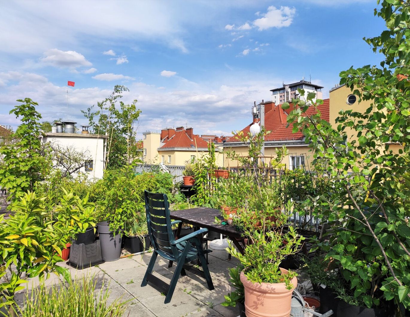 GEMEINSCHAFTSDACHTERRASSE: Garconniere in Hofruhelage