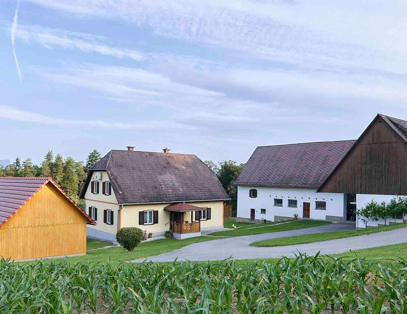 Voll ausgestattete Landwirtschaft mit 9 ha in Traumlage mit Scheibengrund und Wald, sofort nutzbar!