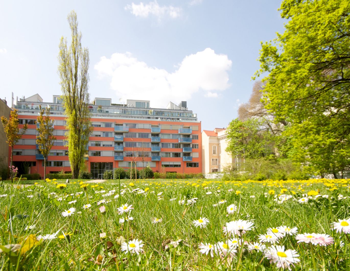 8000m² Parkanlage - Neubauwohnung mit Balkon im Toskanahof