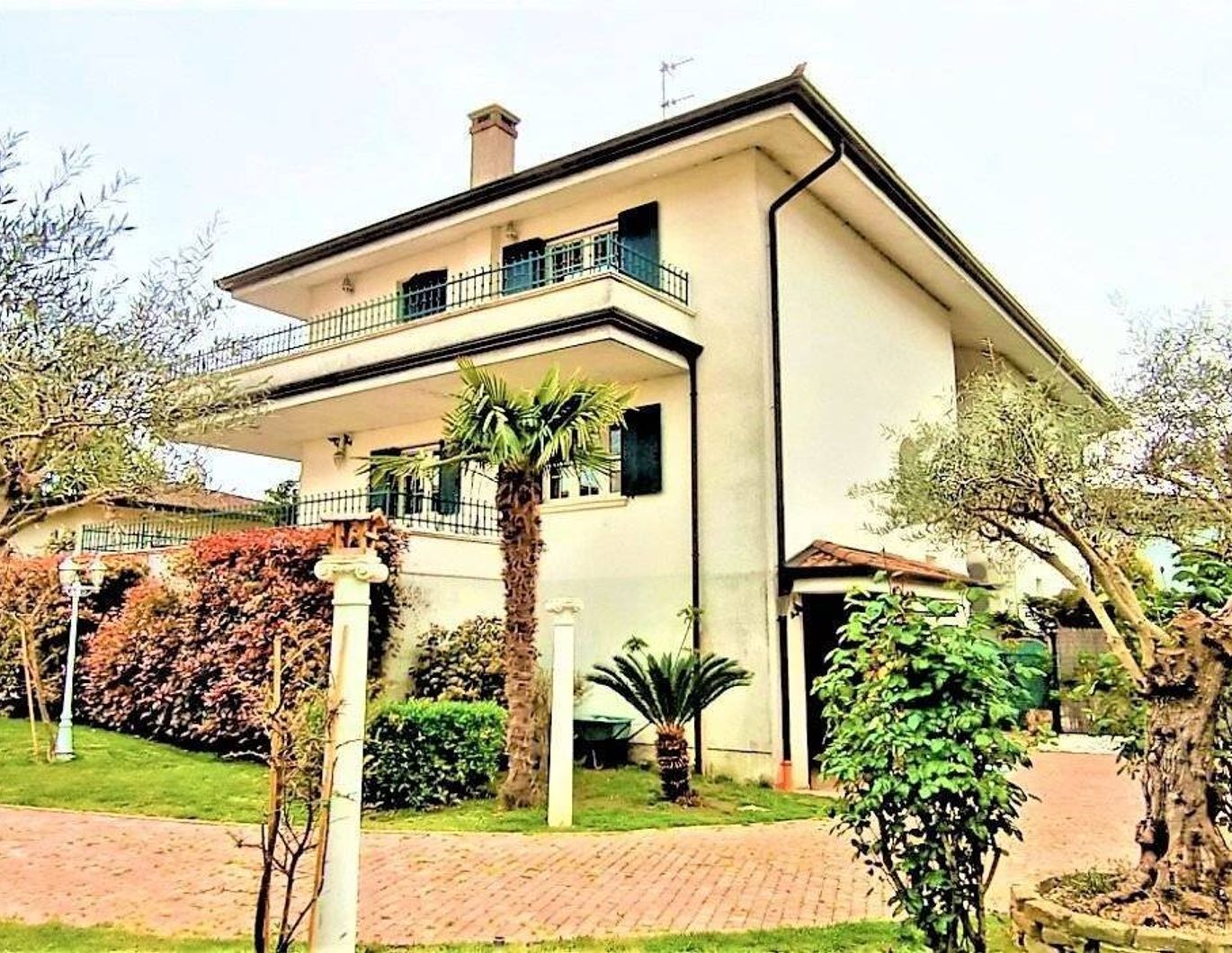 HAUS 