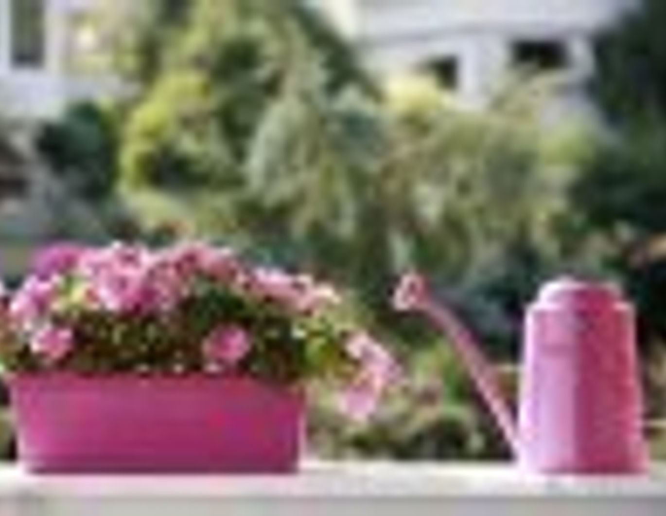 Familientraum im Grünen! 3 Monatsmieten gespart!