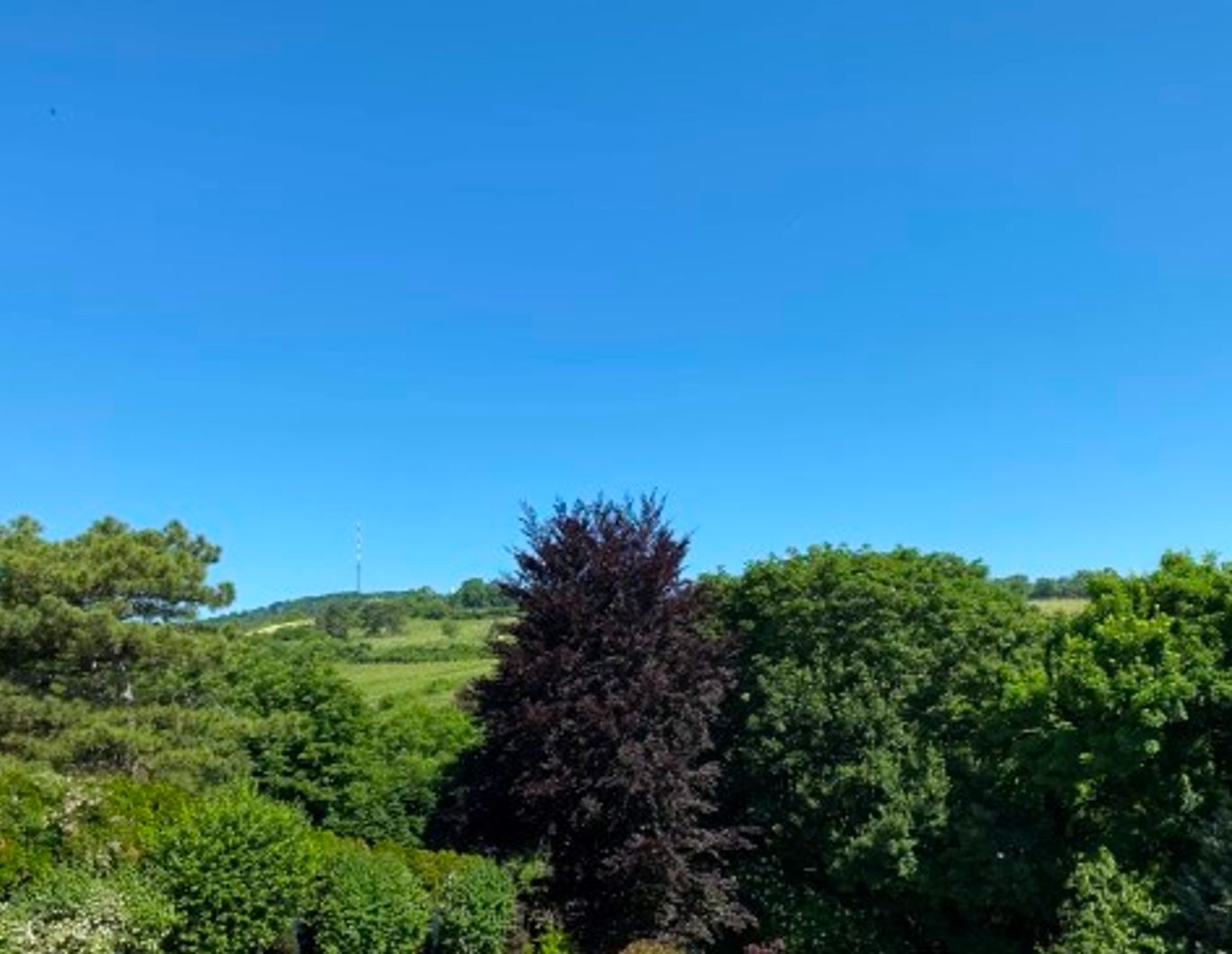 saniertes Reihenhaus mit Blick auf den Kahlenberg *Toplage in Döbling - Unterer Schreiberweg*