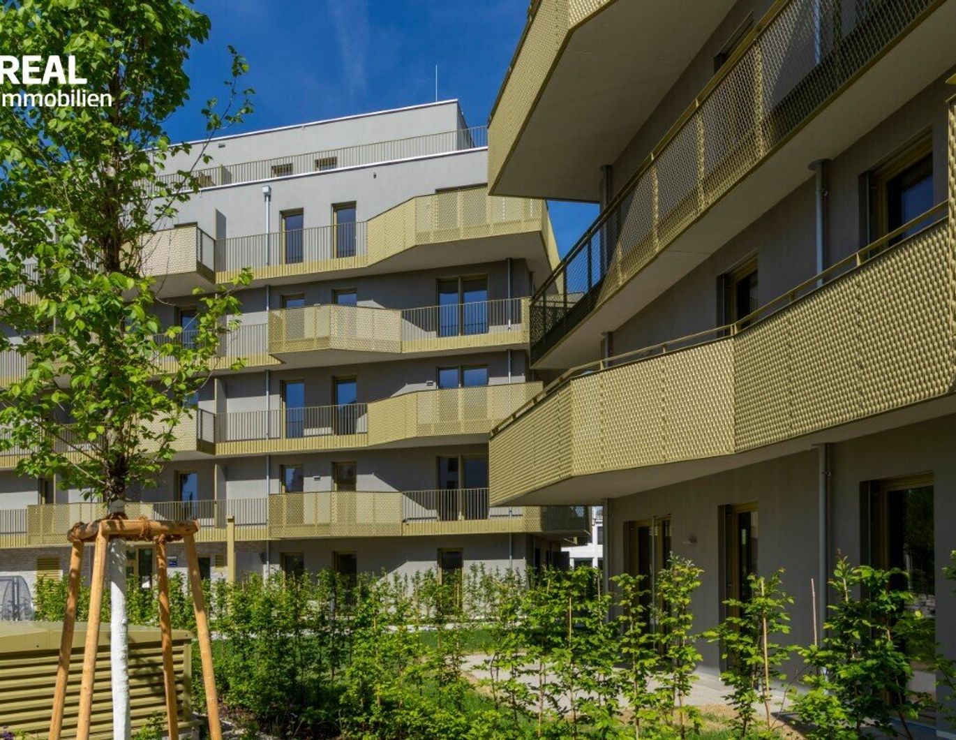 Hirschfeld - Ihr neues Zuhause im Grünen - besichtigen und einziehen