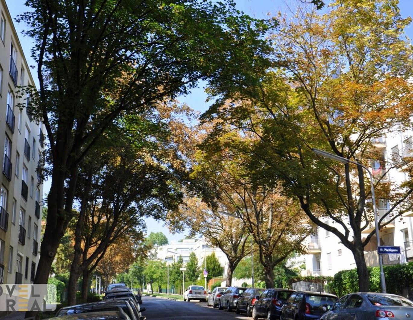 NÄHE HOHE WARTE - HELLE UND RUHIGE WOHNUNG MIT GARTENNUTZUNG
