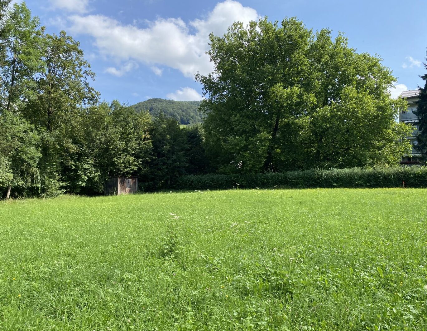 Moderne Gartenwohnung in Kirchdorf: Erstbezug, 4 Zimmer, Terrasse & Garage!