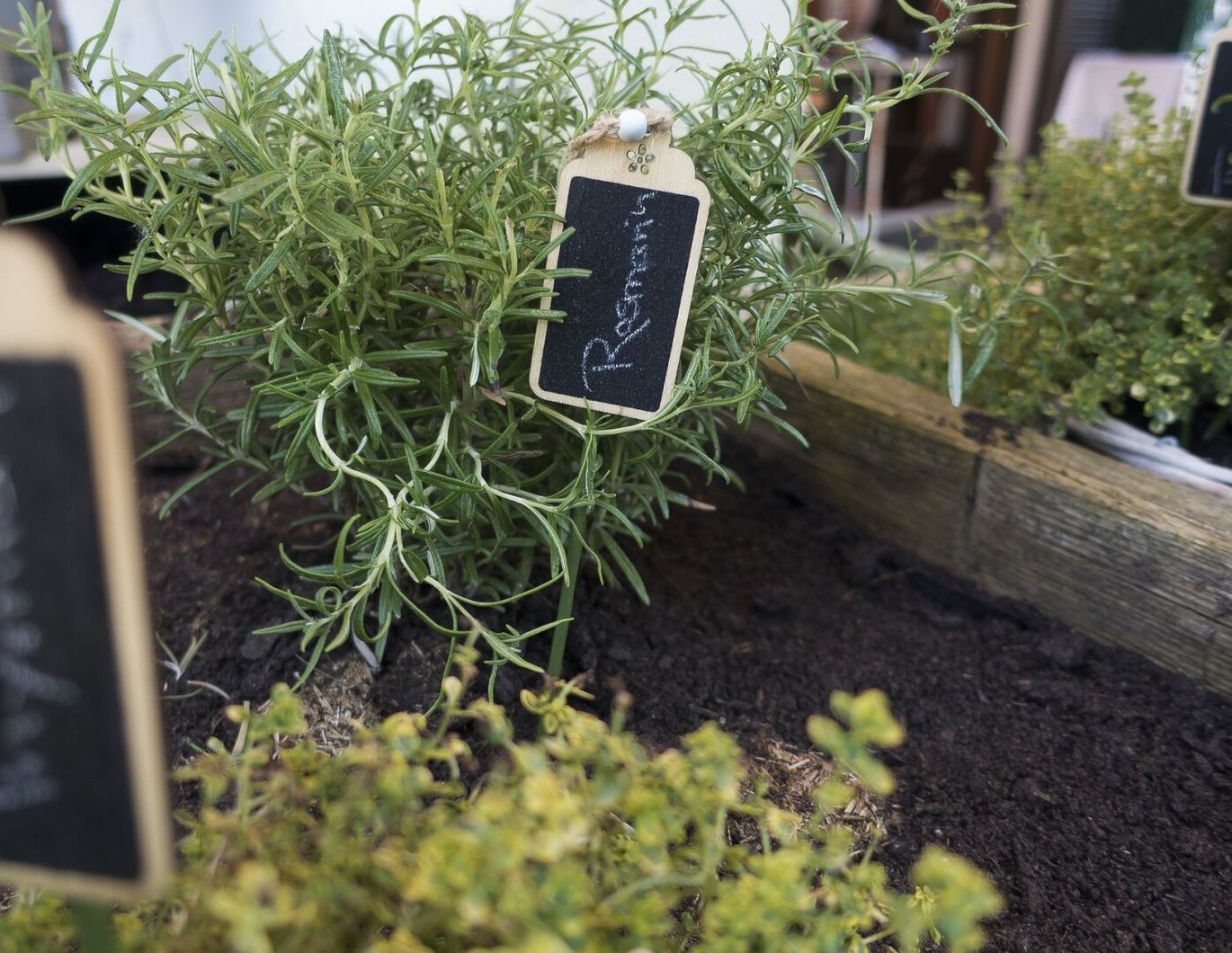 300€ MIETBONUS - Traumwohnung in Graz-Andritz