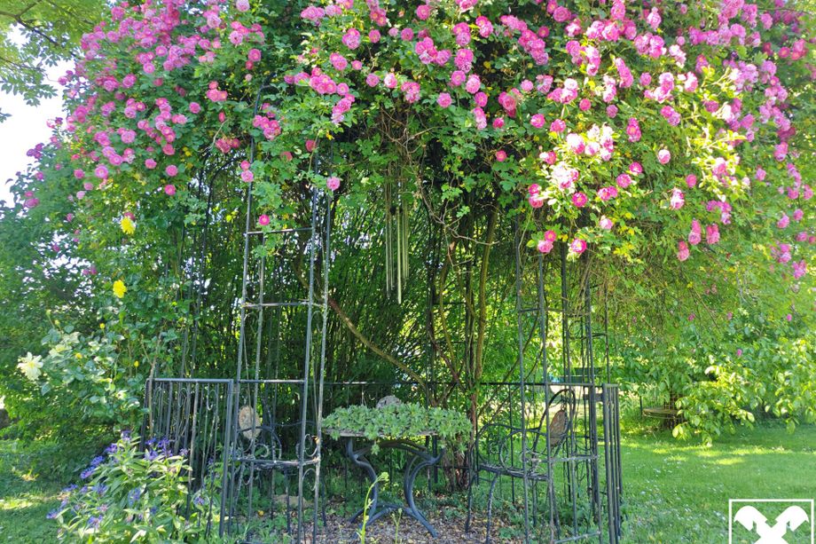 Exklusives Anwesen am Stadtrand von Klagenfurt mit Wohnhaus, Nebengebäuden und Gartenparadies!