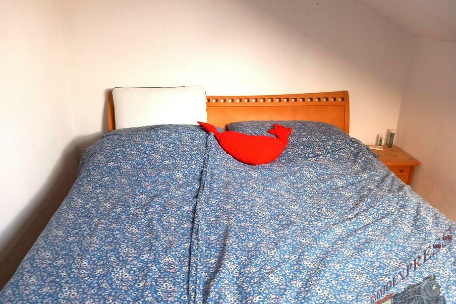 PROVISIONSFREI Dachgeschoßwohnung für Singles - Paare oder Anleger in Wels /Pernau zu verkaufen PROVISIONSFREI